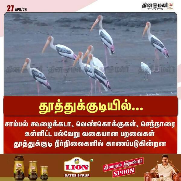 தூத்துக்குடியில்... 