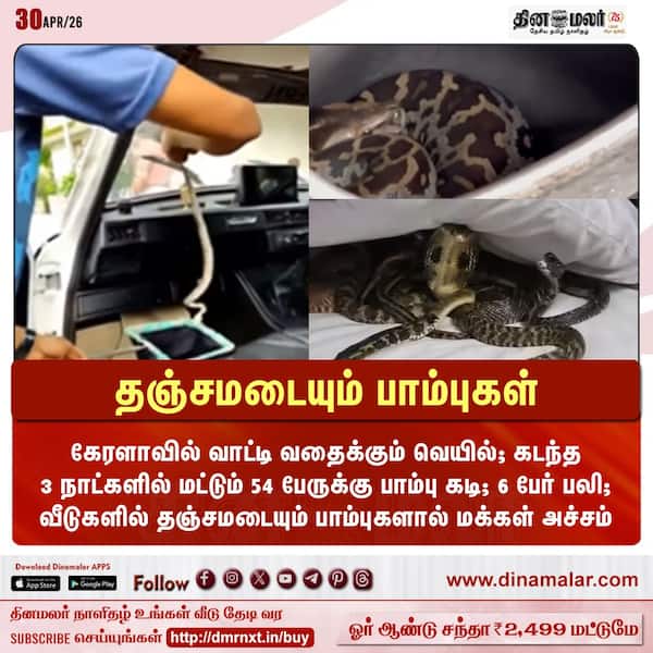 தஞ்சமடையும் பாம்புகள் 