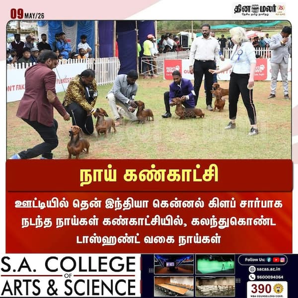 நாய் கண்காட்சி 
