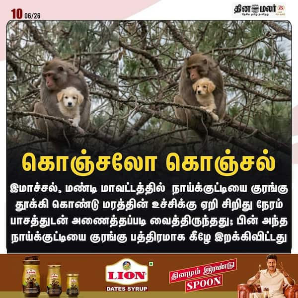 கொஞ்சலோ கொஞ்சல் 