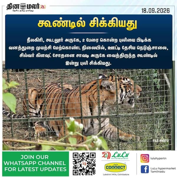 கூண்டில் சிக்கியது 