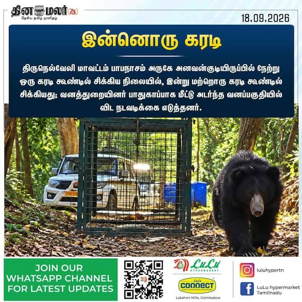 இன்னொரு கரடி 