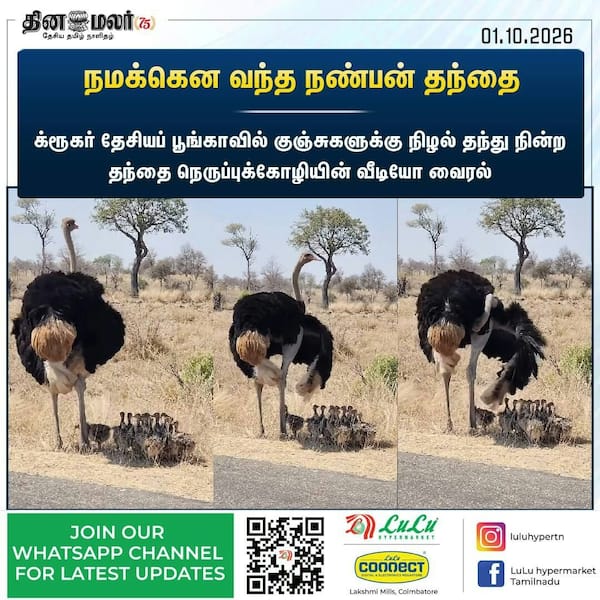 நமக்கென வந்த நண்பன் தந்தை 