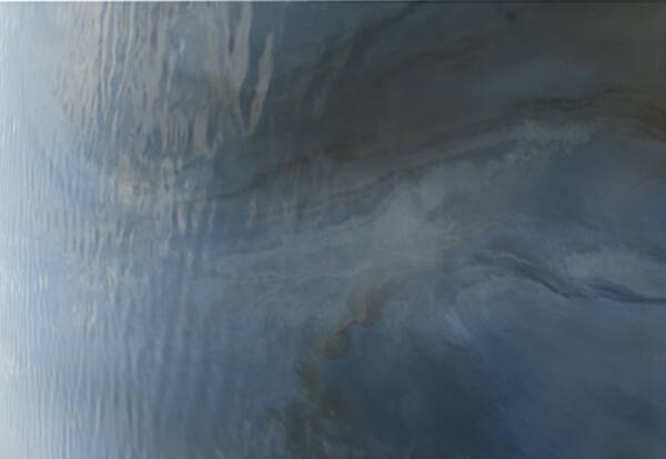 Image 1301784