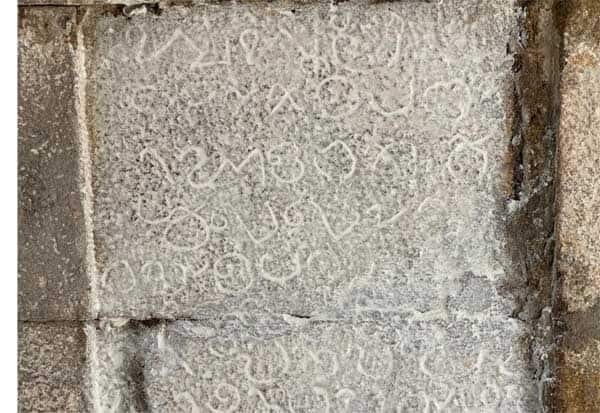 Image 1301789