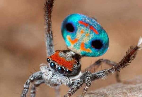 Image 1406781