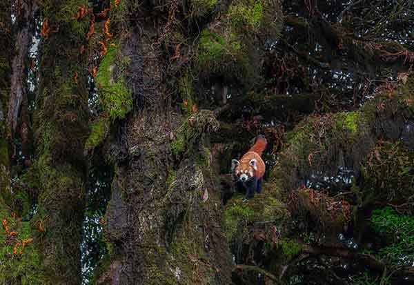 Image 1301966