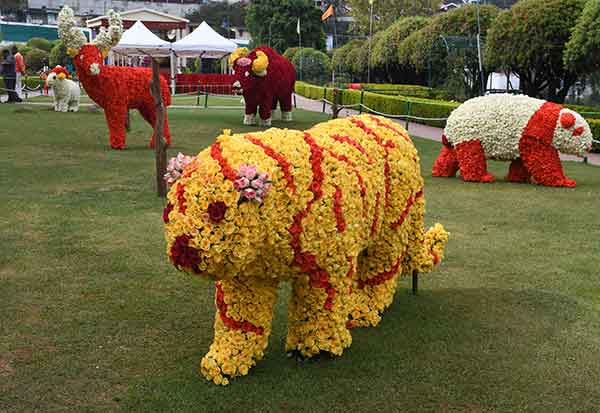 Image 1269803