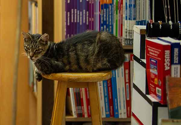 Image 1607875