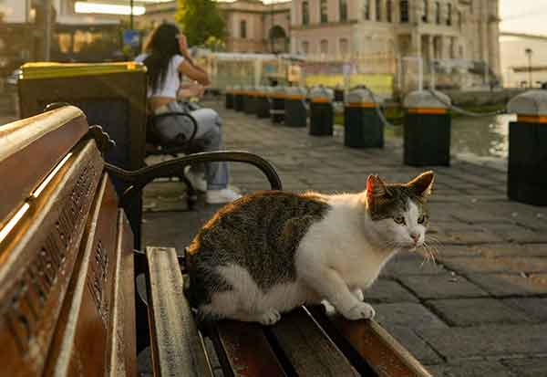 Image 1607876