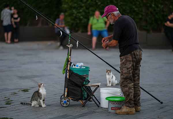 Image 1607879
