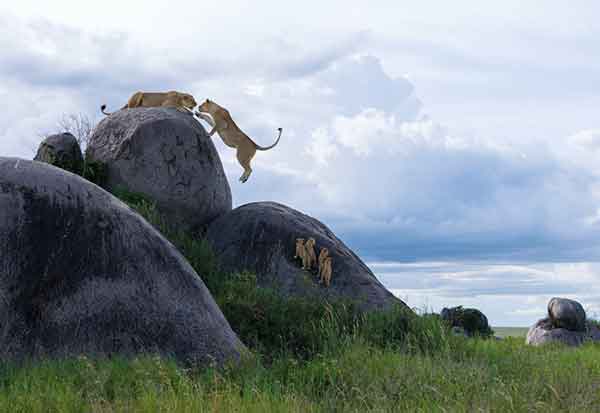 Image 1606581