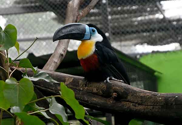 Image 1304456