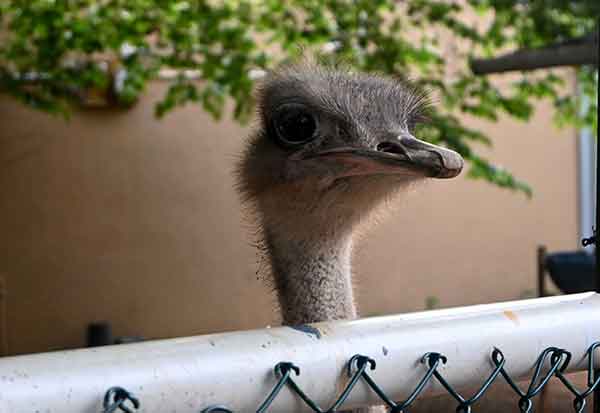 Image 1304458
