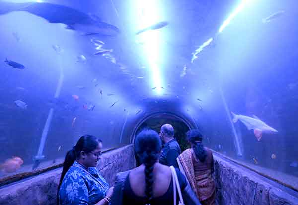 Image 1304459