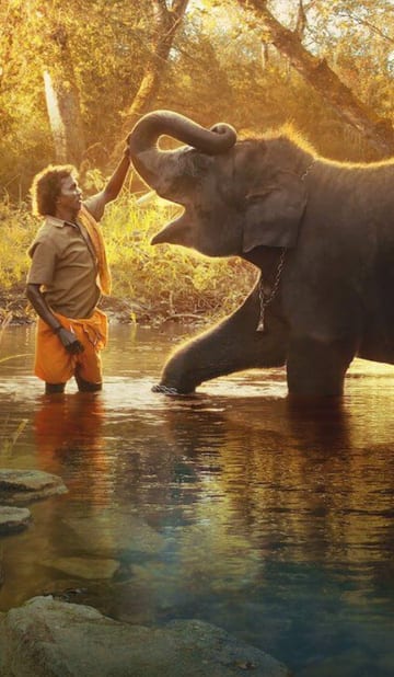 ஆஸ்கர் விருது வென்ற த எலிபென்ட் விஸ்பரர்ஸ்