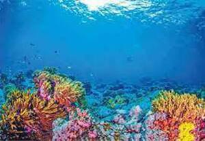 மீன்வள பல்கலையில் அட்மிஷன்