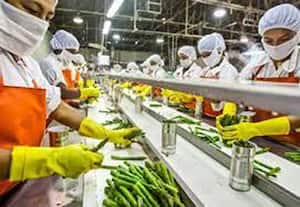 உணவு பொருட்கள் ஏற்றுமதிக்கு வழிகாட்டும் 'அபெடா'