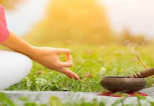 பாடத்திட்டத்தில் மனவளக் கலை சேர்க்க வேண்டும்: முதல்வரிடம் வலியுறுத்த திட்டம்