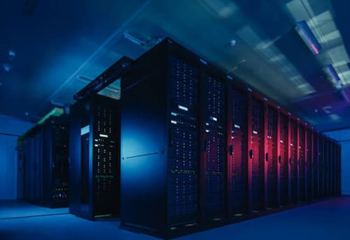 Data science emerges as a dominant career field