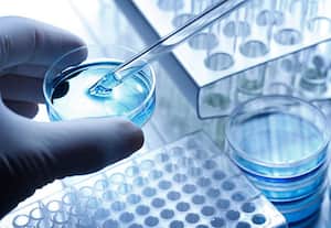 Build a career in Molecular Biotechnology!