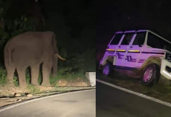  A jeep fell into a ditch after an elephant panicked on Sarmati Ghat road  