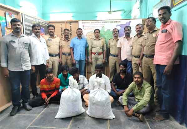  Ganja smuggling in government buses; 6 people arrested in Dindigul  