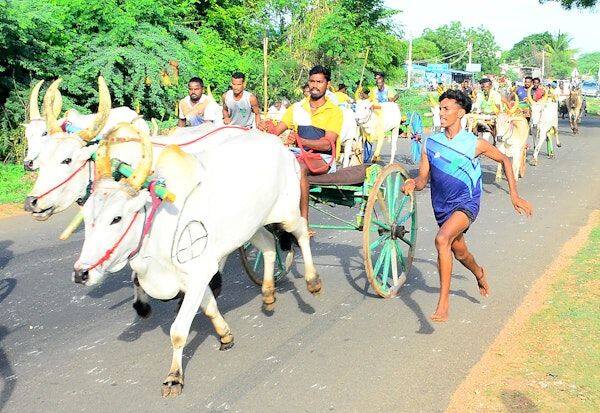 Latest Tamil News