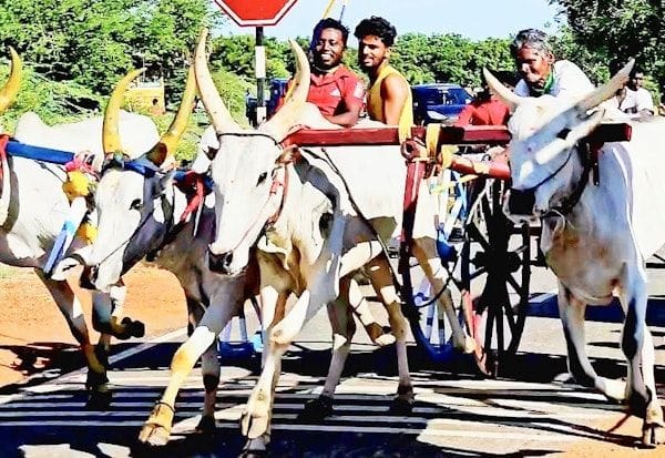 Latest Tamil News