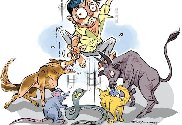 Latest Tamil News