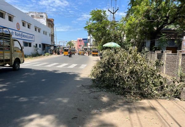 Latest Tamil News