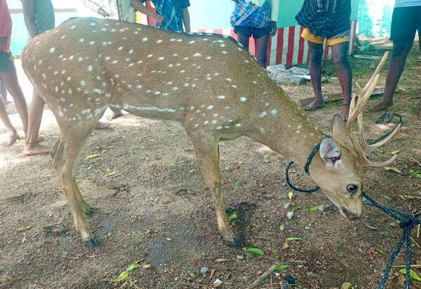 Latest Tamil News