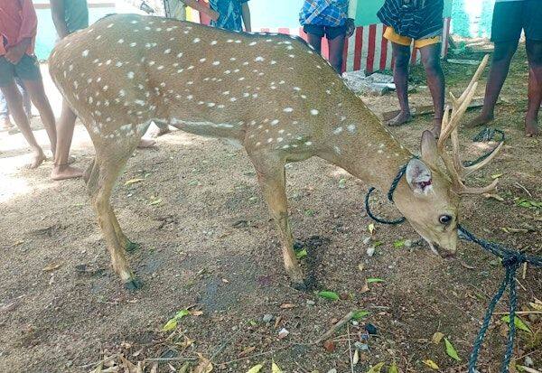 Latest Tamil News