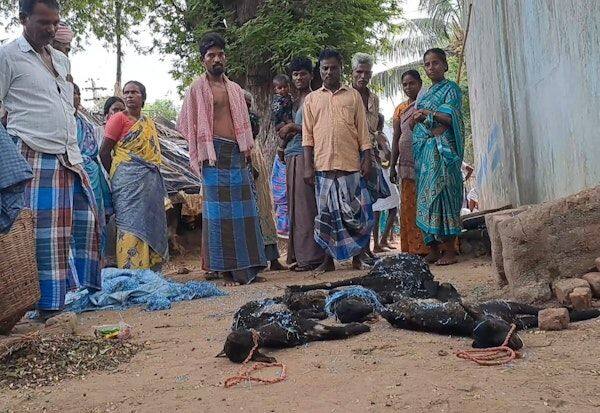 Latest Tamil News