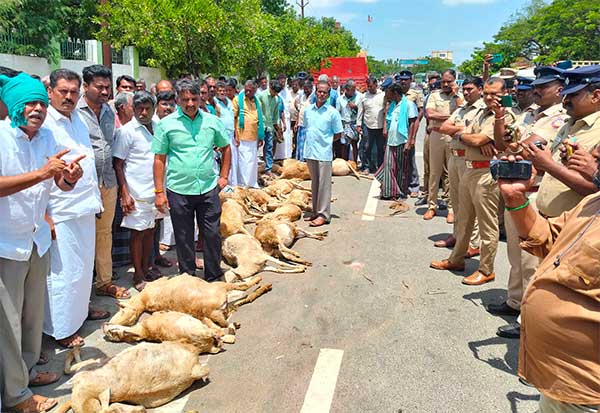 Latest Tamil News
