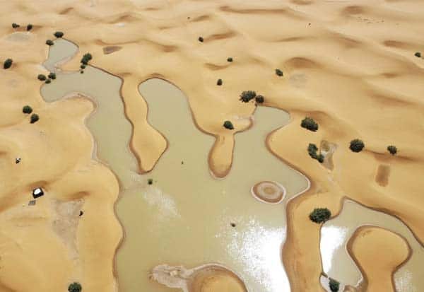 நம்புங்க மக்களே... சஹாரா பாலைவனத்தில் வெள்ளம்! 50 ஆண்டுகளில் இல்லாத அதிசயம்