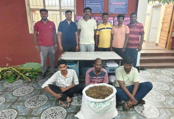 Latest Tamil News
