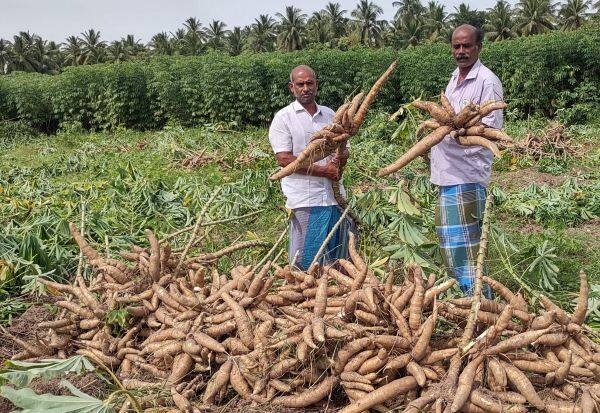 Latest Tamil News