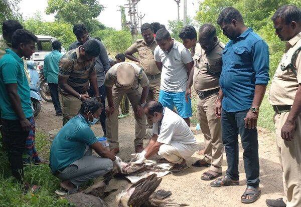 Latest Tamil News