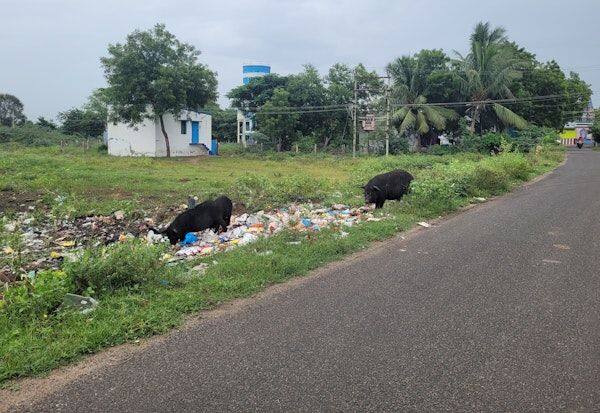 Latest Tamil News
