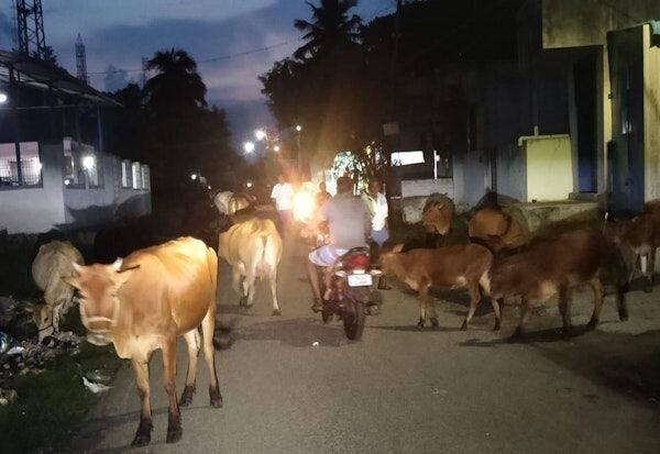 Latest Tamil News