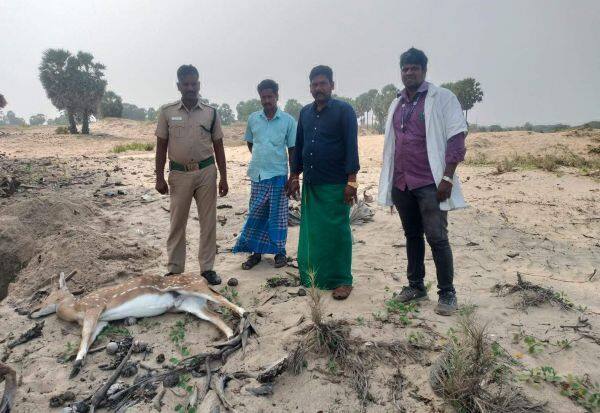 Latest Tamil News