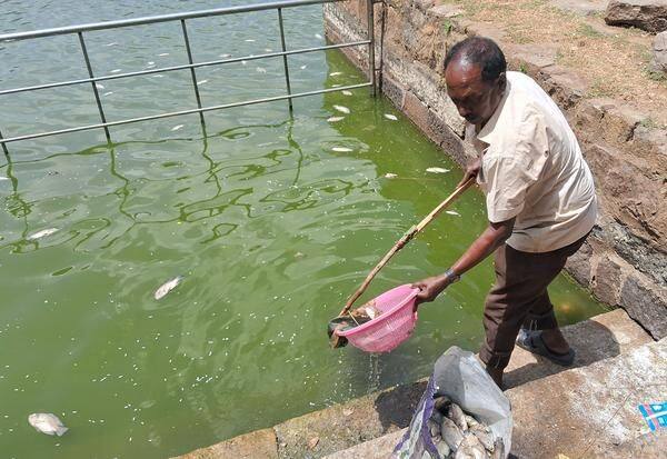 Latest Tamil News