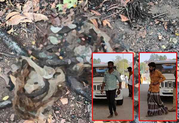 Latest Tamil News
