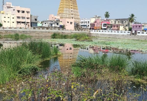 Latest Tamil News