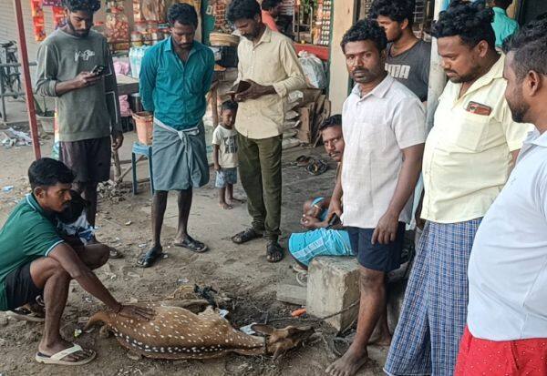 Latest Tamil News