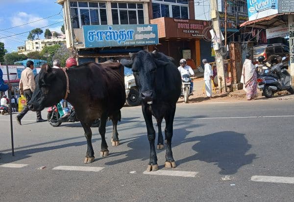 Latest Tamil News
