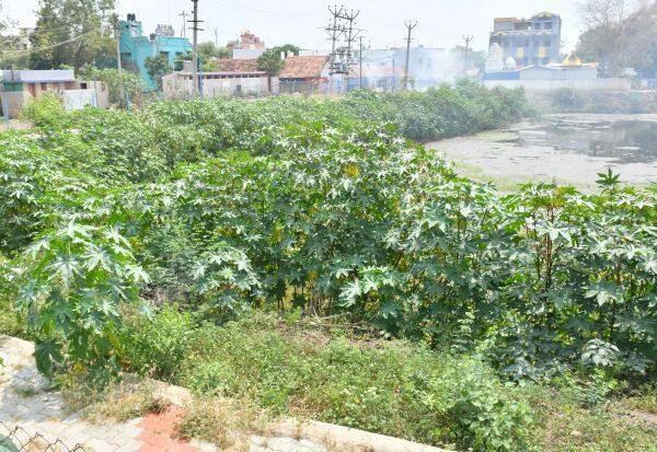 Latest Tamil News