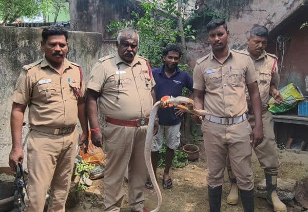 Latest Tamil News