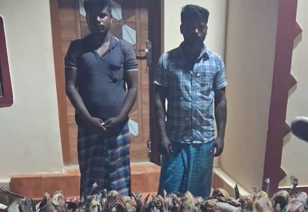 Latest Tamil News